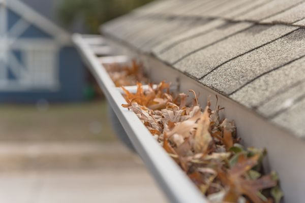 Leaf Barrier Installation in Garner
